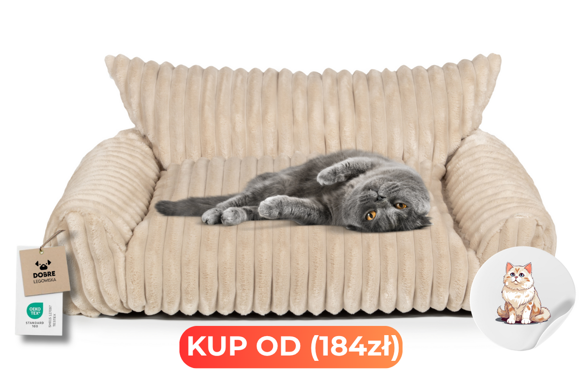 Cozy Cat