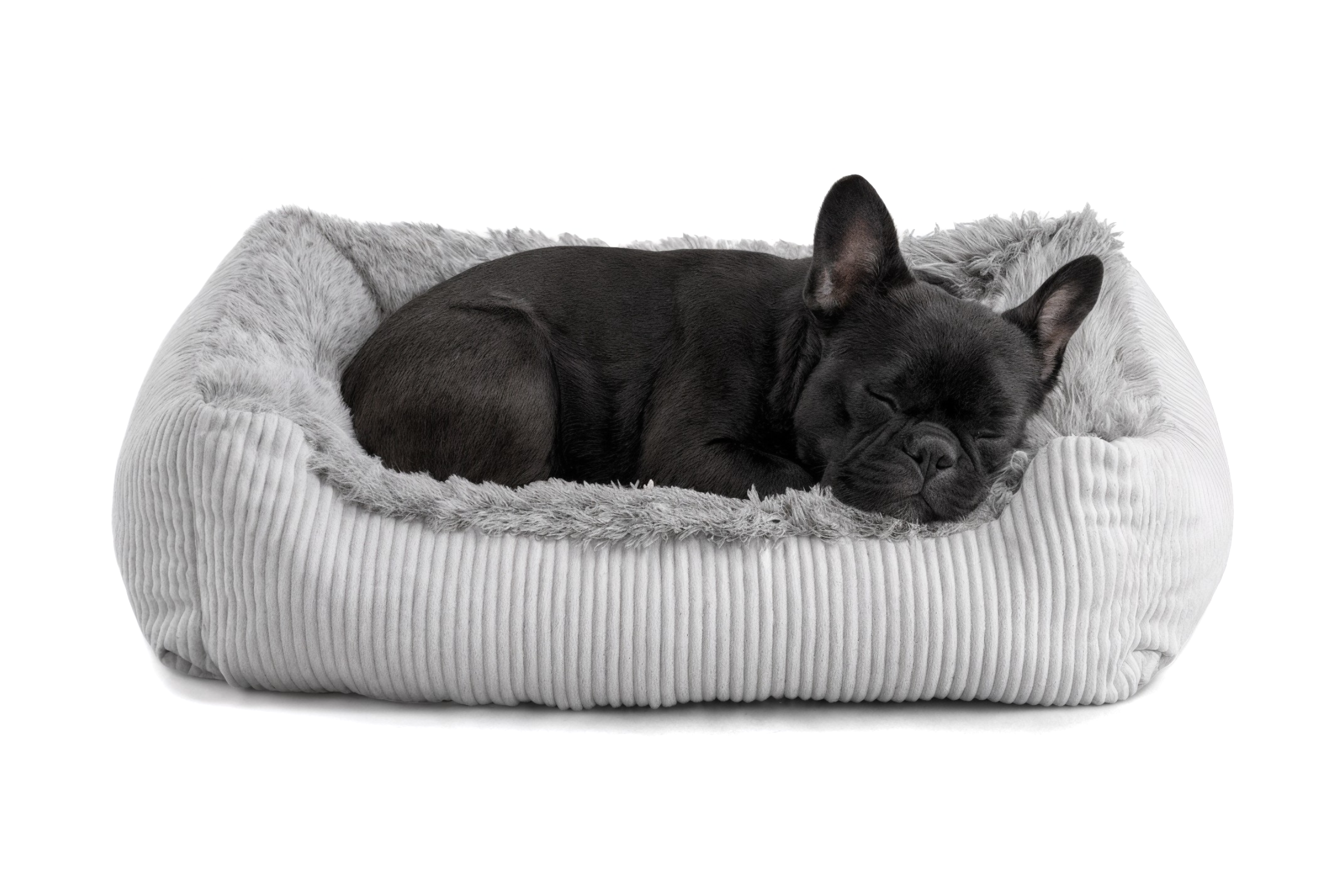 Legowisko dla psa Shaggy