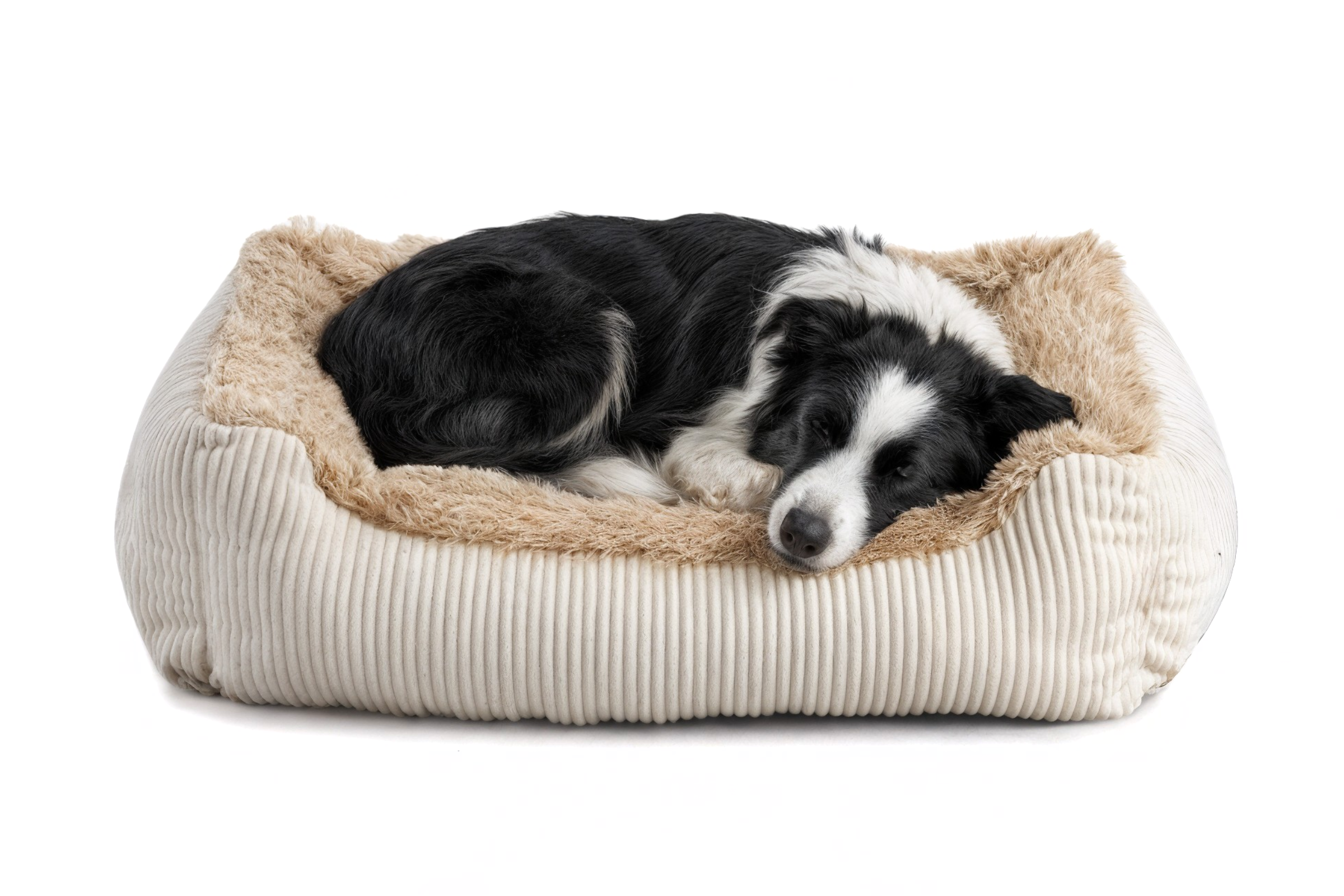 Legowisko dla psa Shaggy