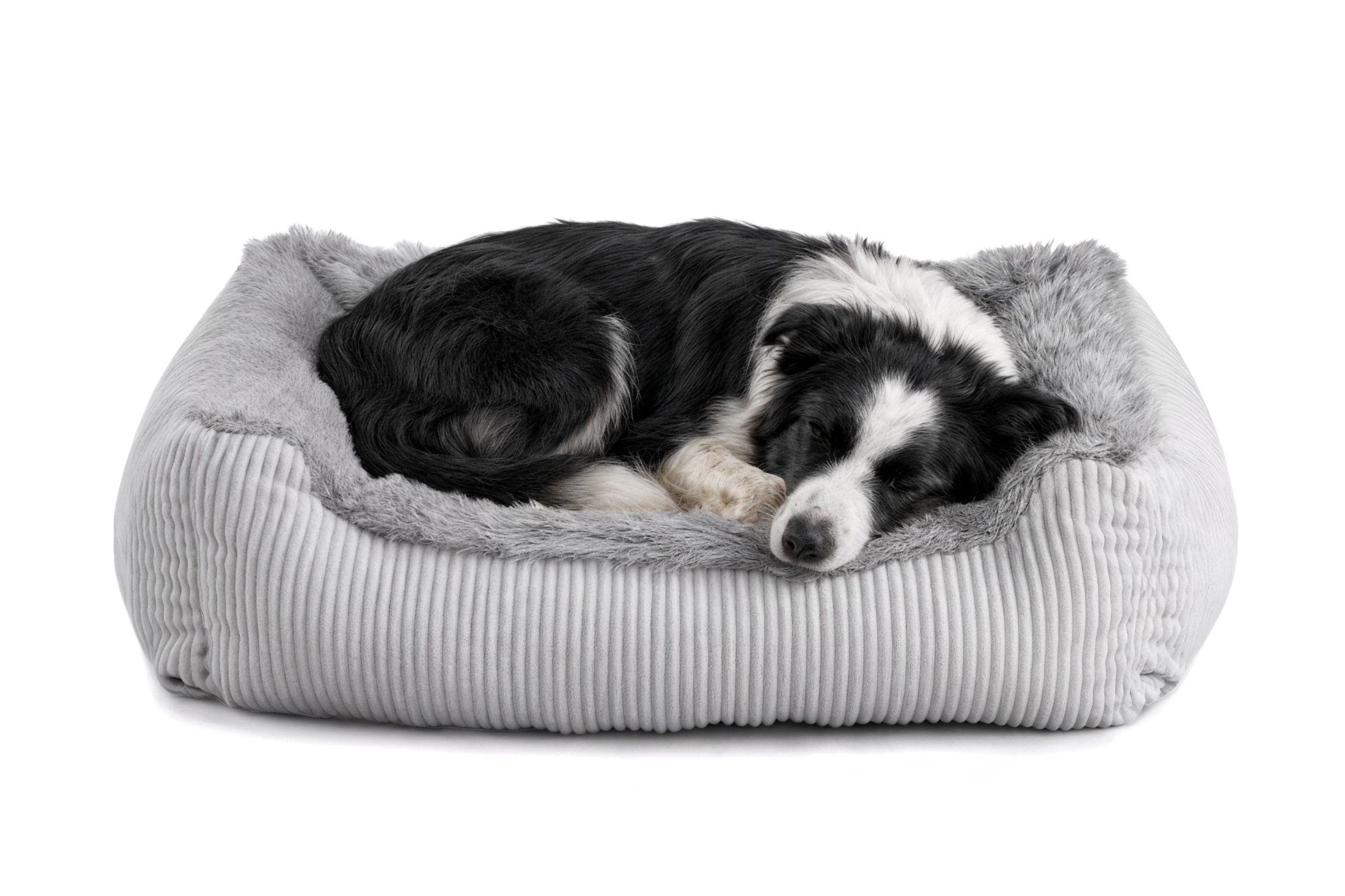 Legowisko dla psa Shaggy