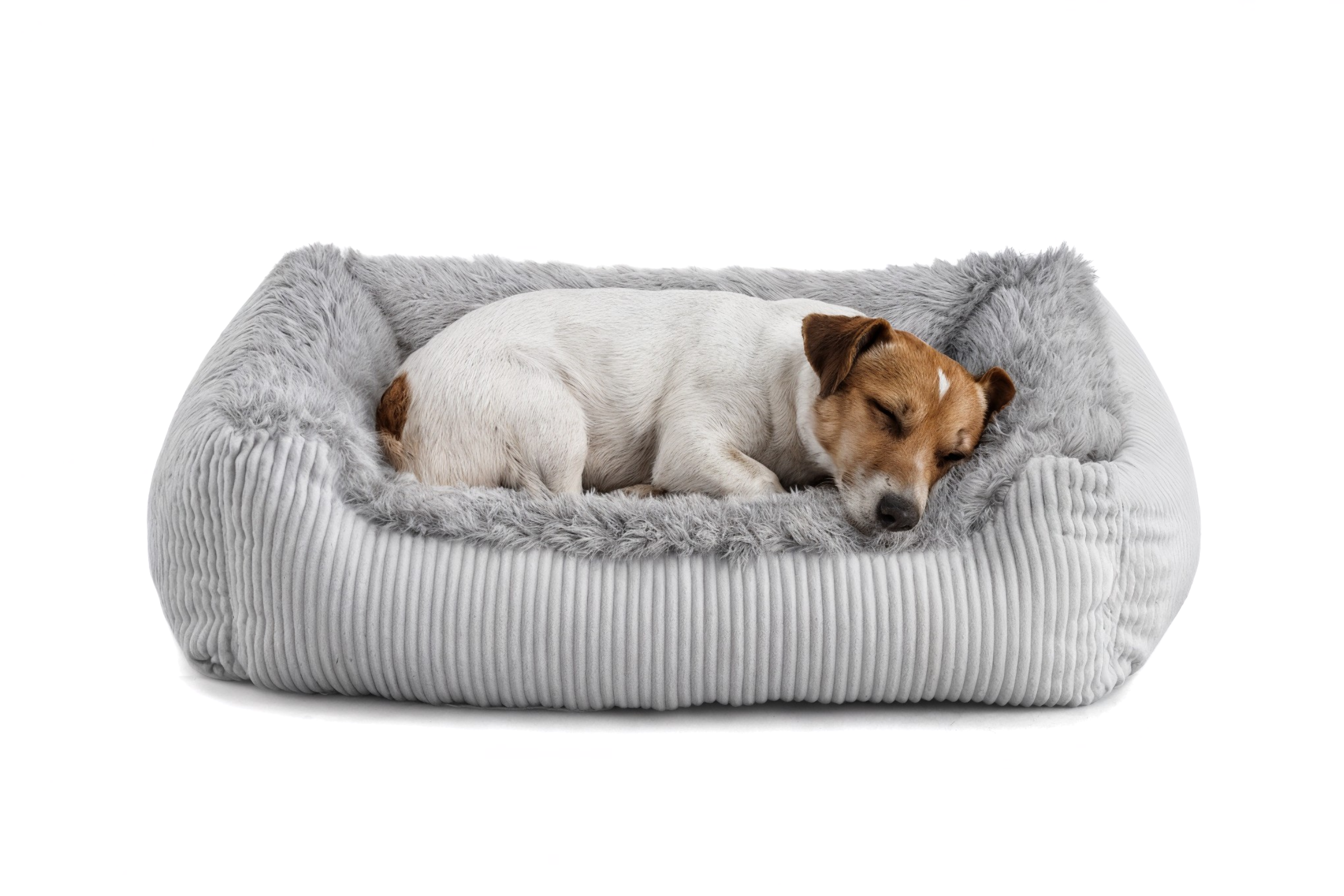 Legowisko dla psa Shaggy