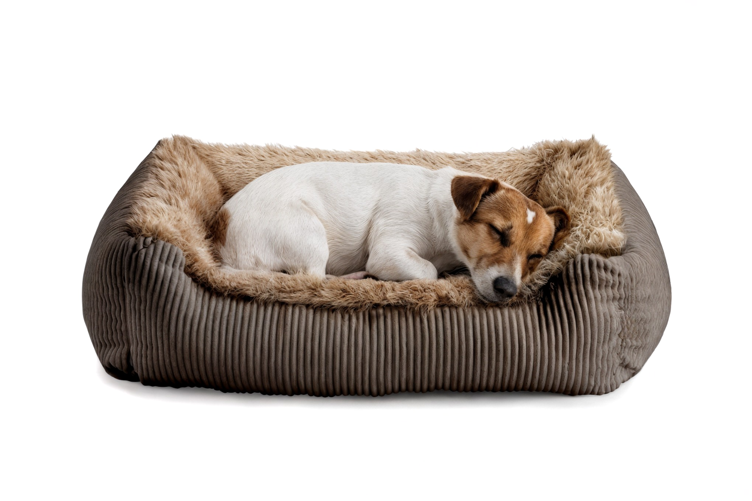 Legowisko dla psa Shaggy