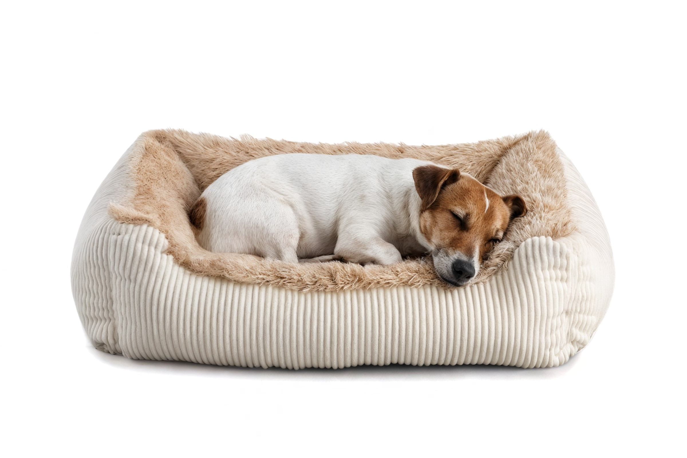 Legowisko dla psa Shaggy