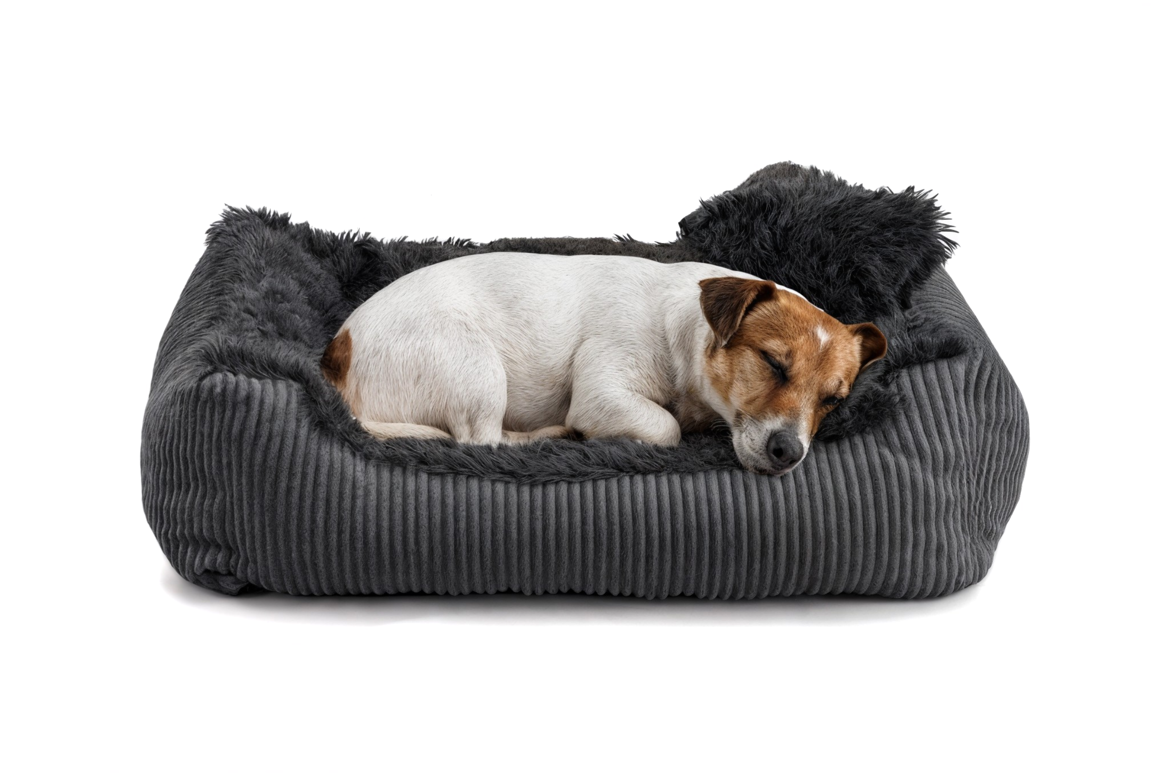 Legowisko dla psa Shaggy