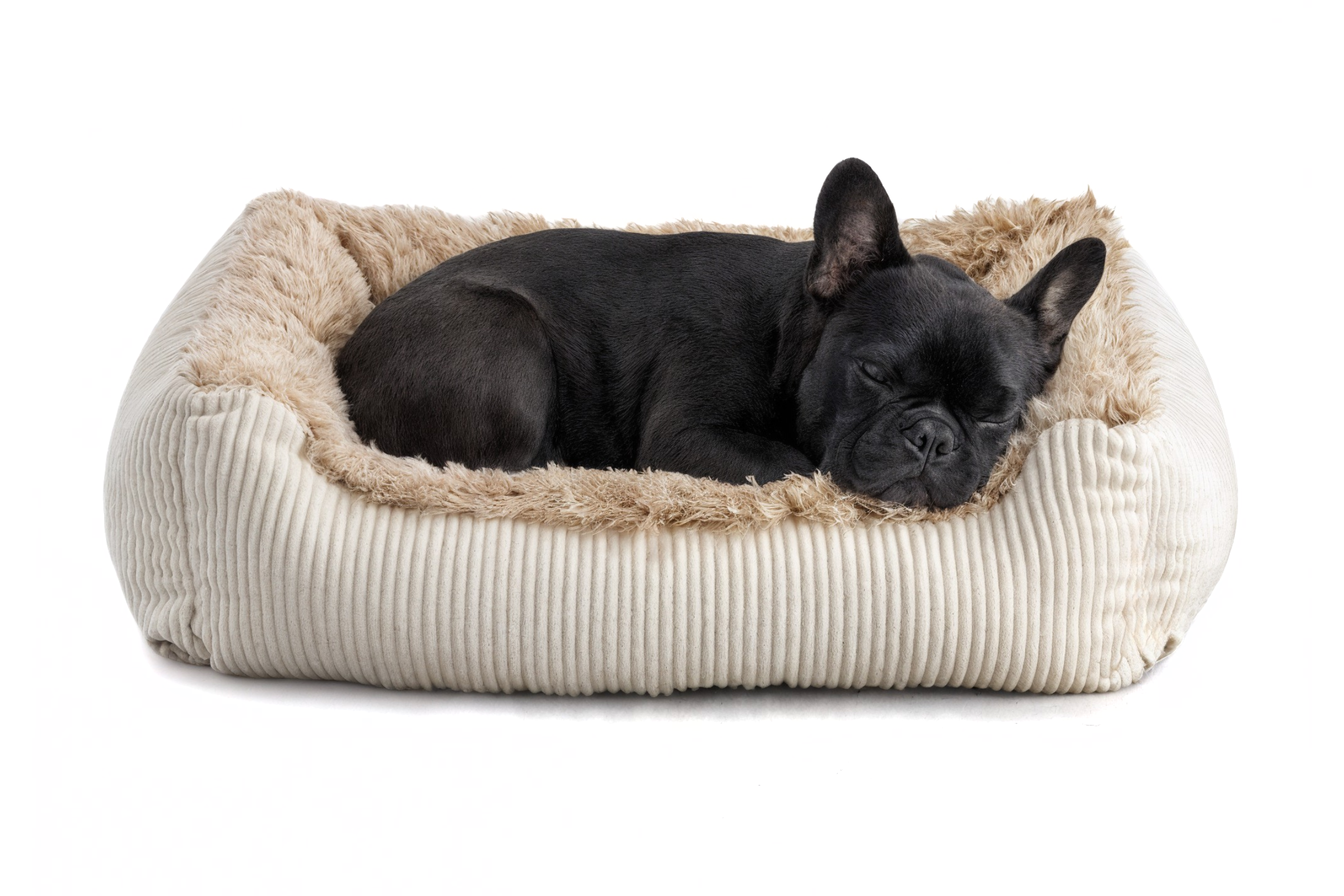 Legowisko dla psa Shaggy