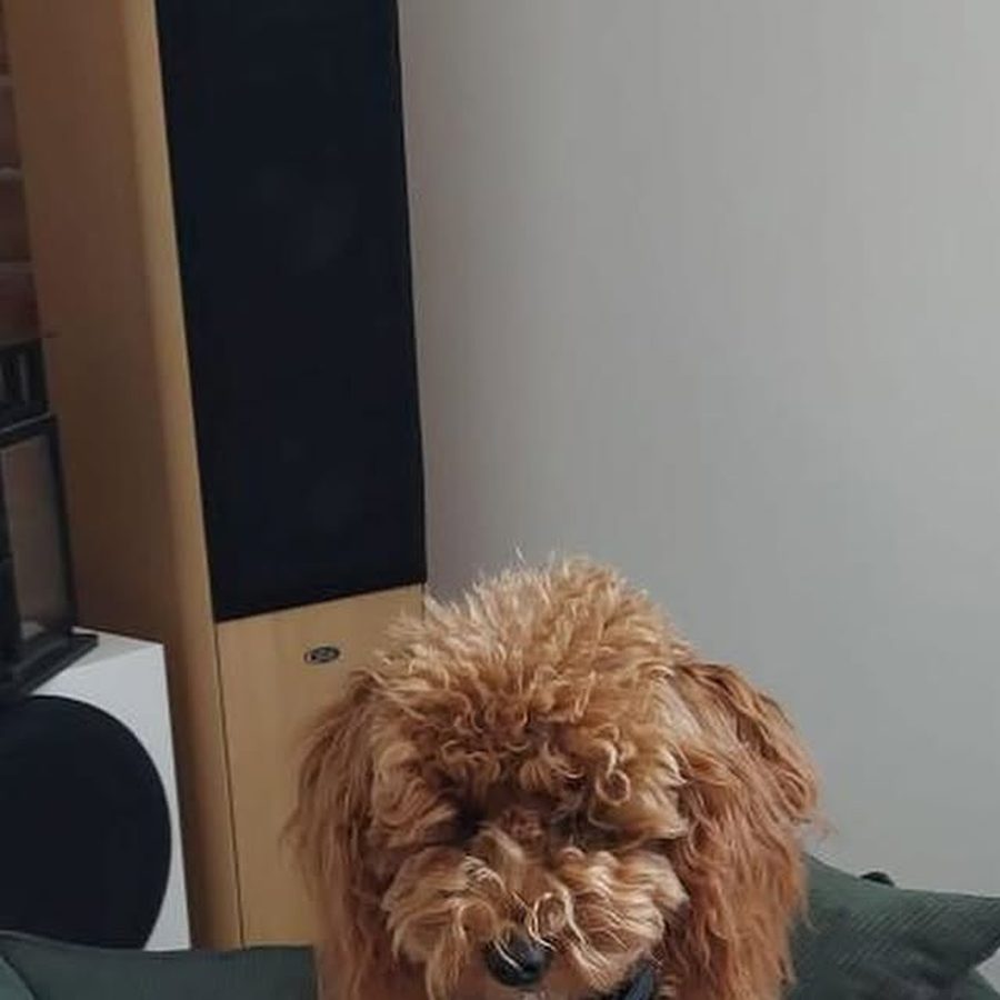 Zoja