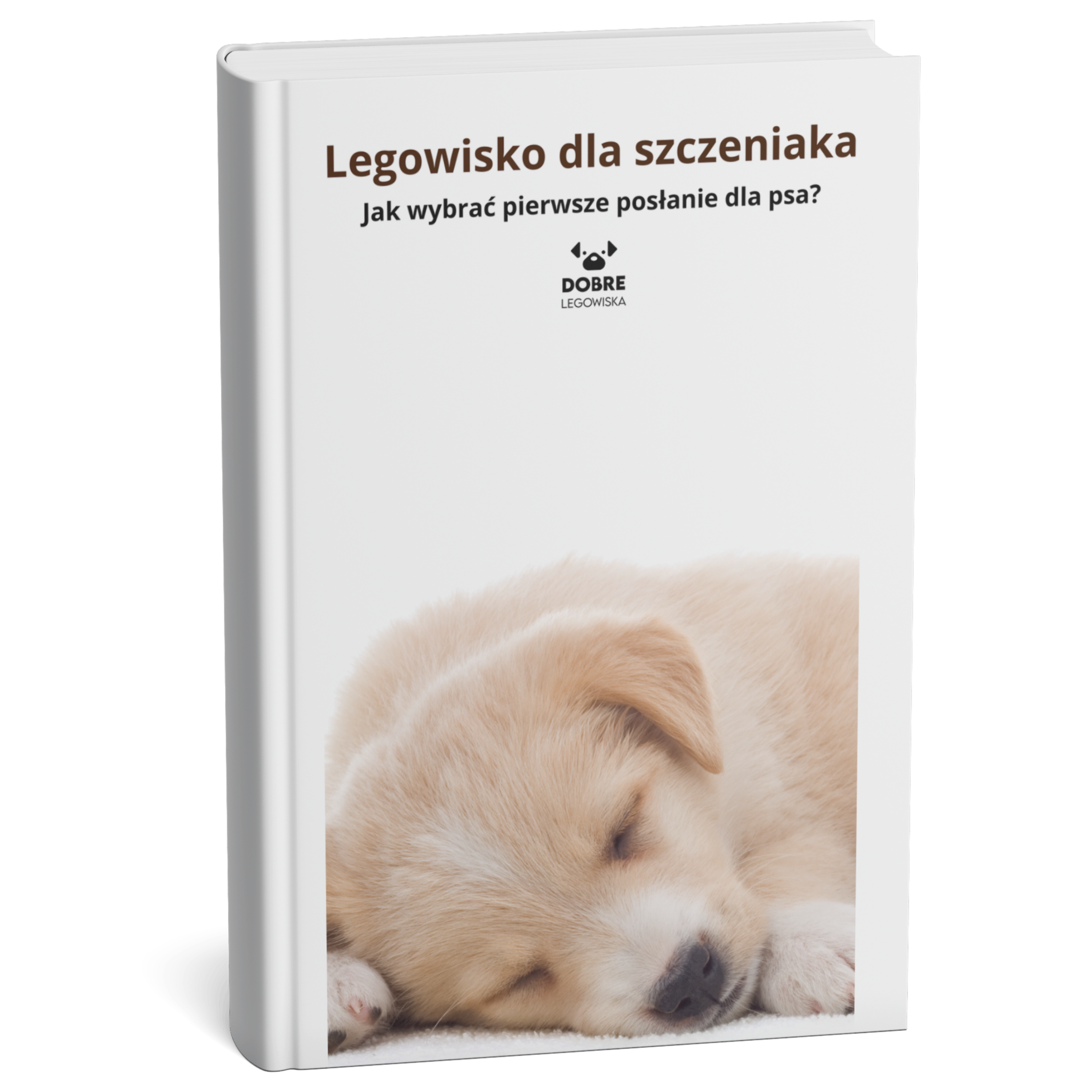 Legowisko dla szczeniaka – jak wybrać pierwsze posłanie dla psa?
