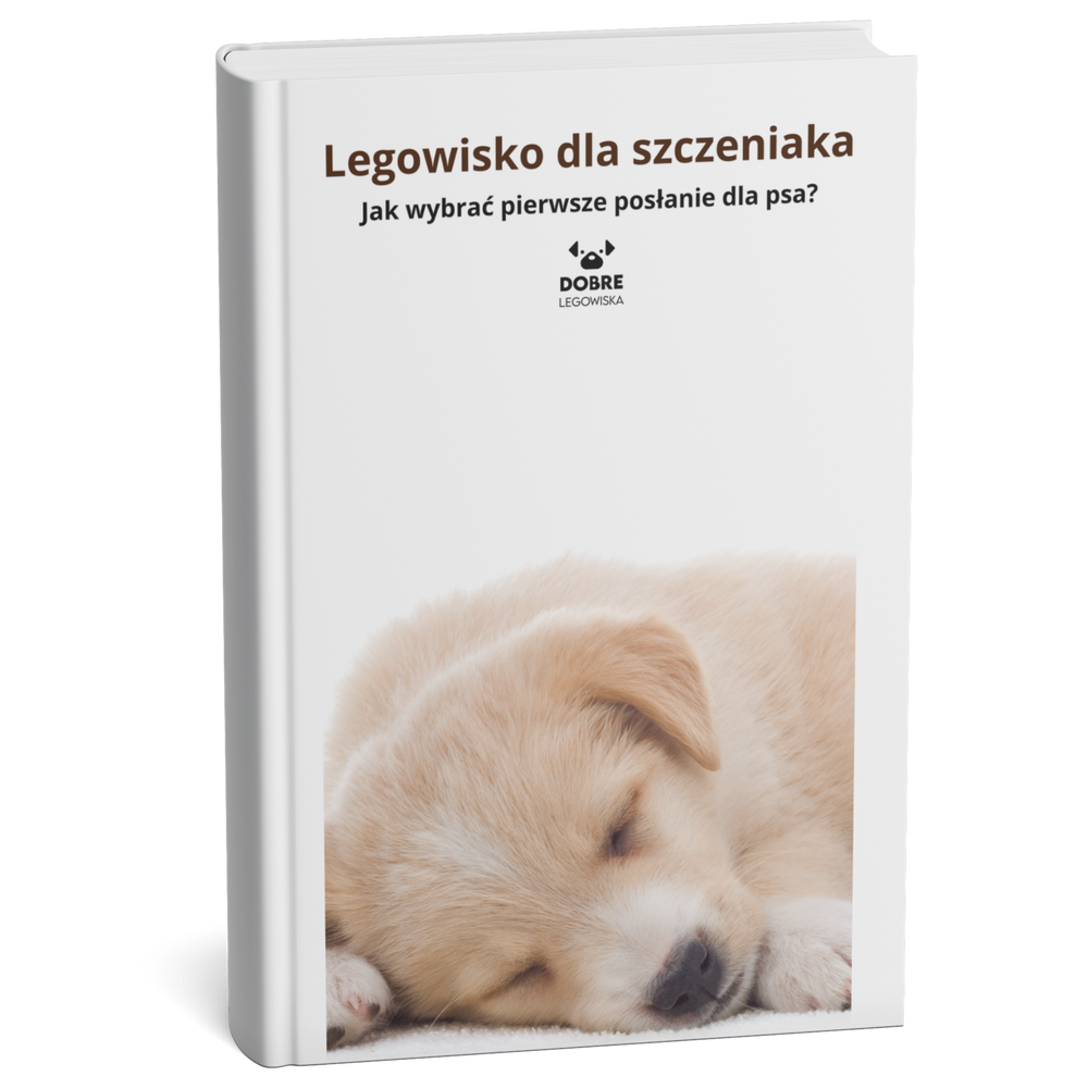 Legowisko dla szczeniaka – jak wybrać pierwsze posłanie dla psa?