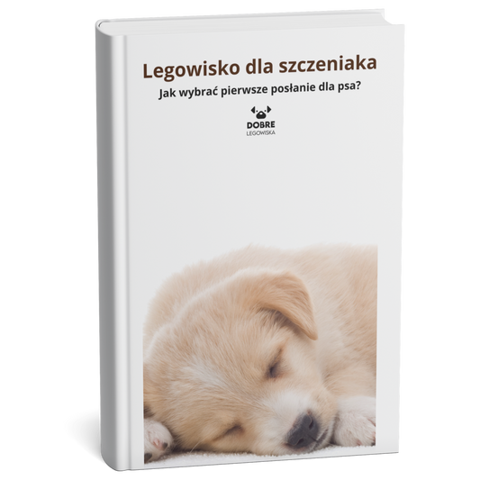 Legowisko dla szczeniaka – jak wybrać pierwsze posłanie dla psa?