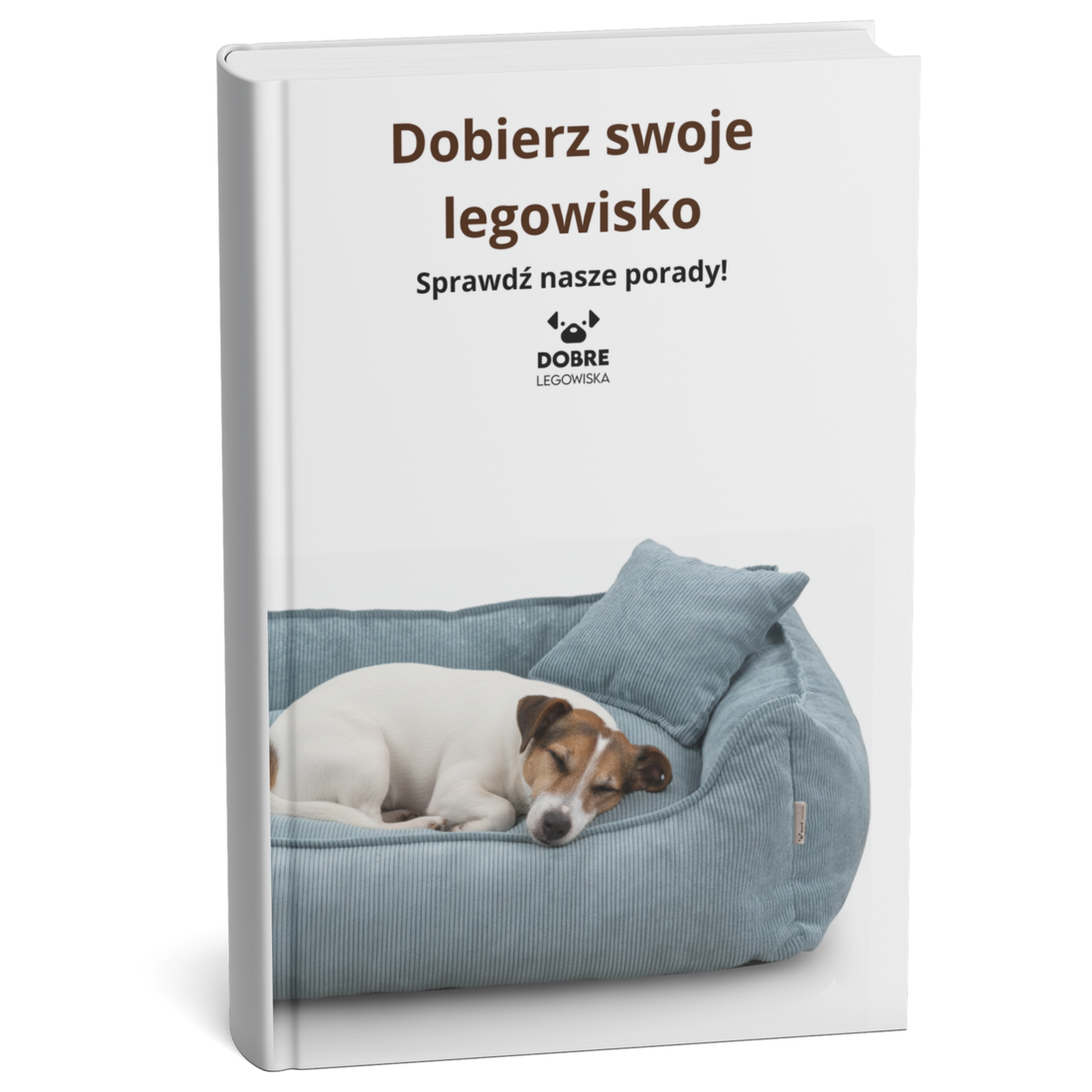 Jak wybrać odpowiedni rozmiar legowiska?