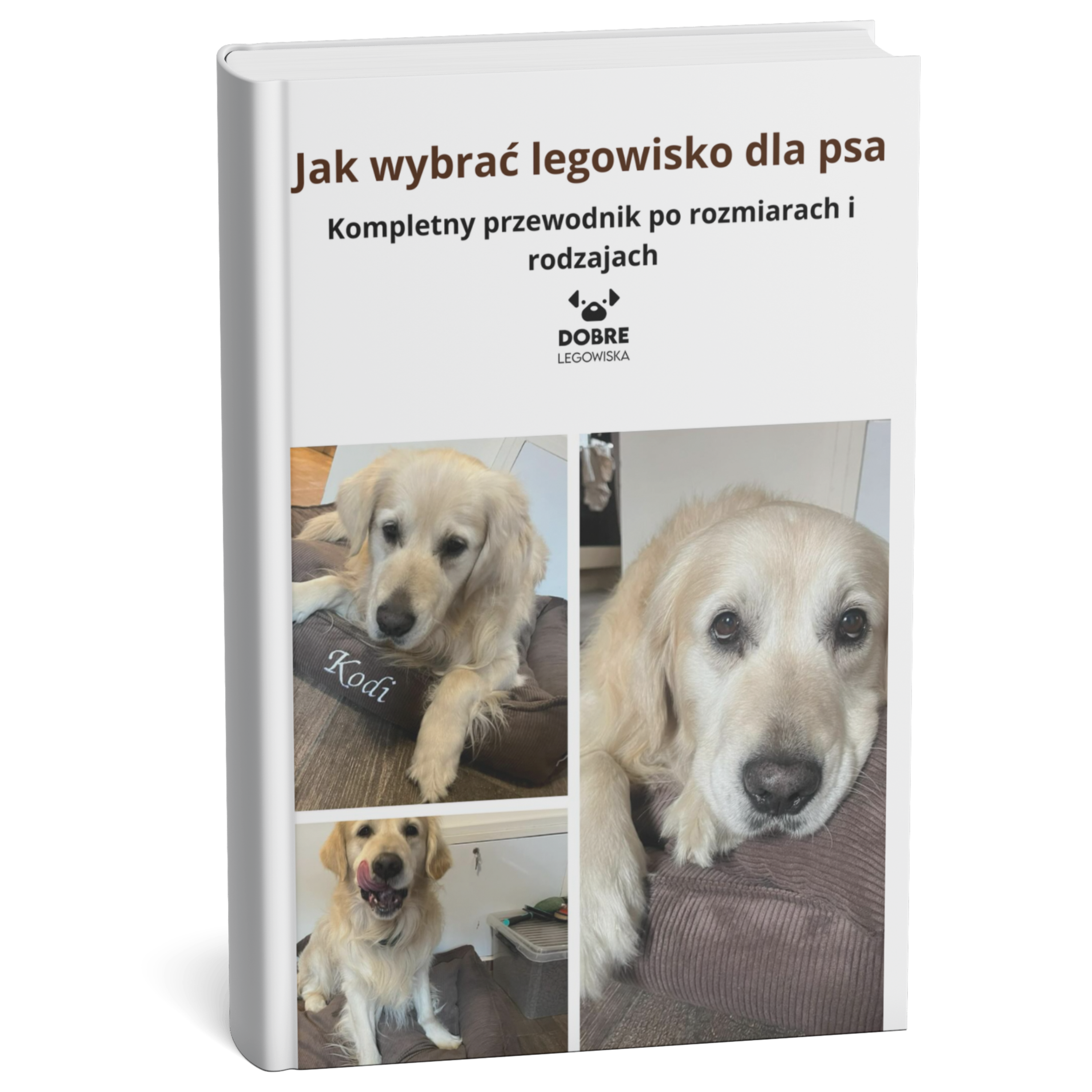 Jak wybrać legowisko dla psa? Kompletny przewodnik po rozmiarach i rodzajach