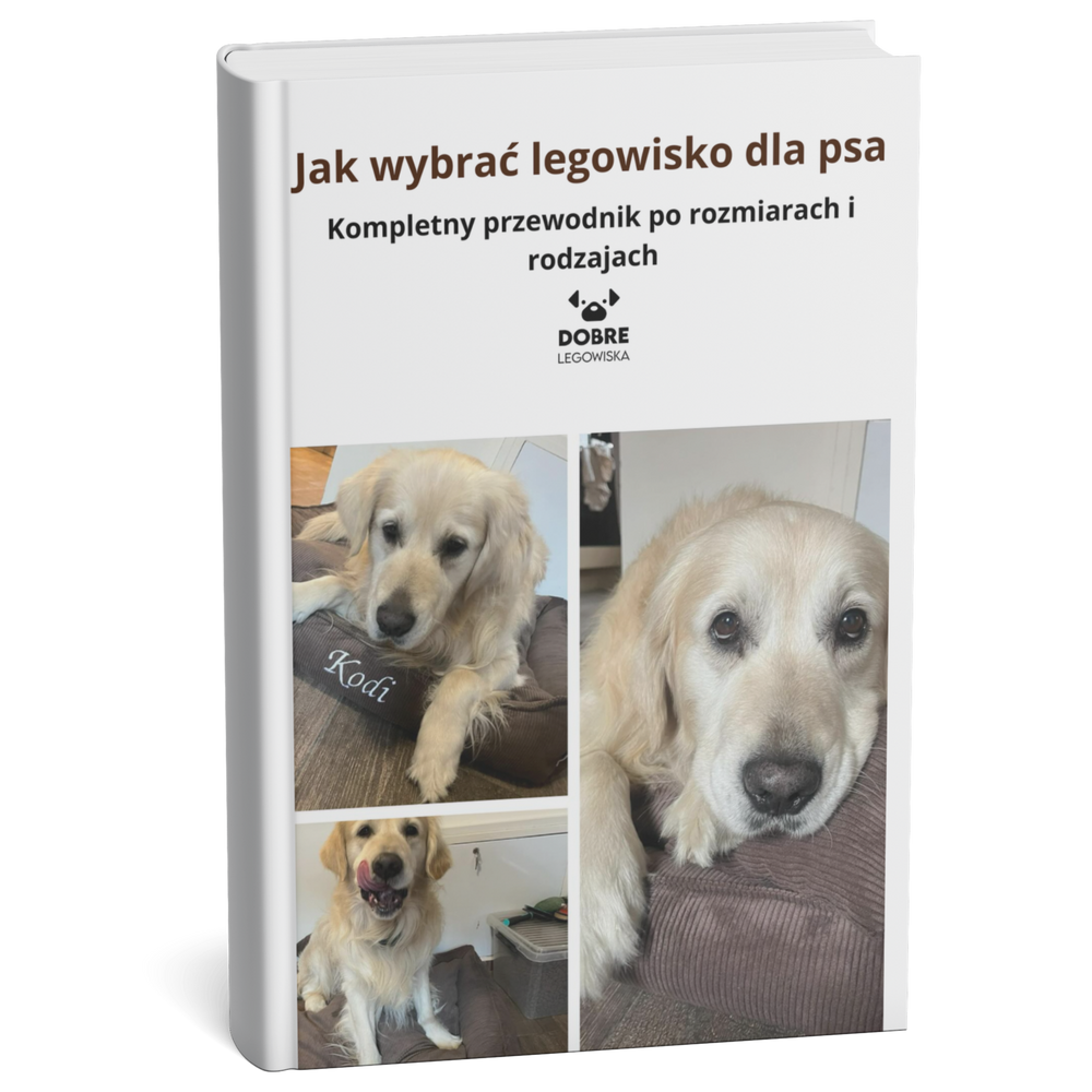 Jak wybrać legowisko dla psa? Kompletny przewodnik po rozmiarach i rodzajach
