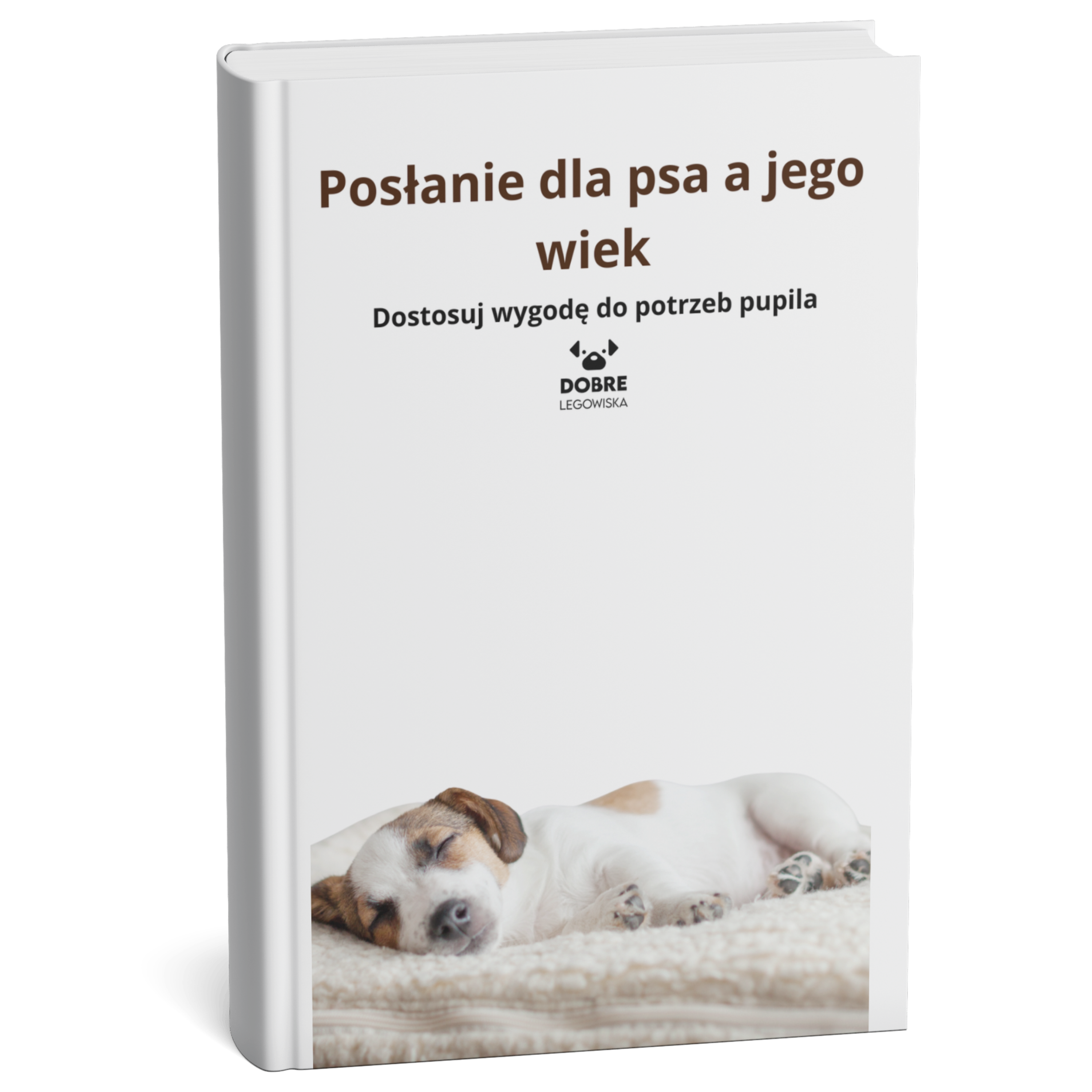 Posłanie dla psa a jego wiek: Dostosuj wygodę do potrzeb pupila