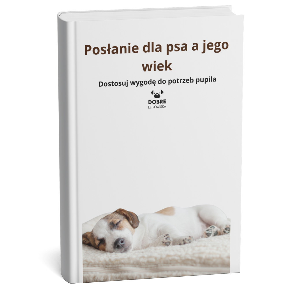 Posłanie dla psa a jego wiek: Dostosuj wygodę do potrzeb pupila