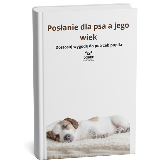 Posłanie dla psa a jego wiek: Dostosuj wygodę do potrzeb pupila