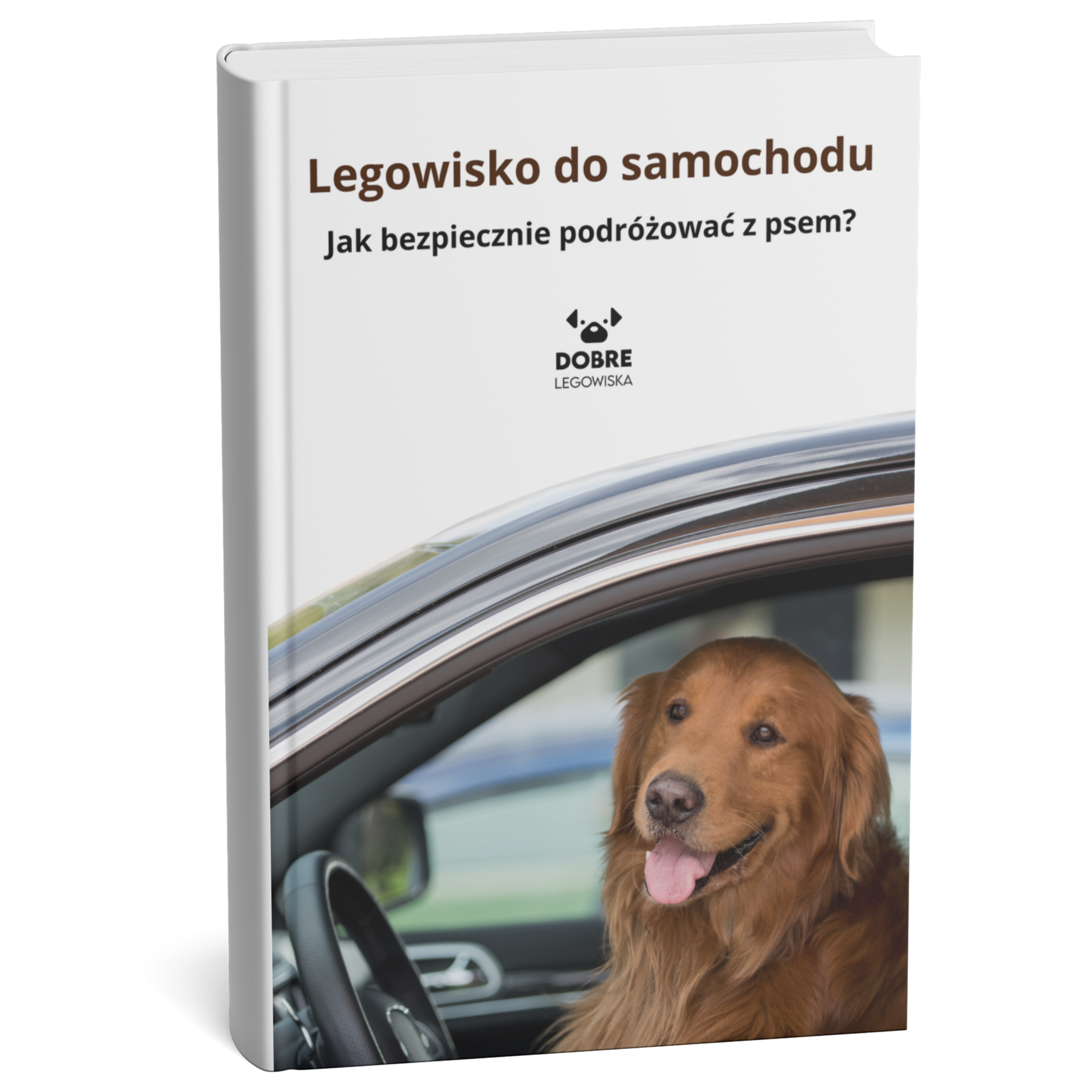 Legowisko do samochodu – jak bezpiecznie podróżować z psem?