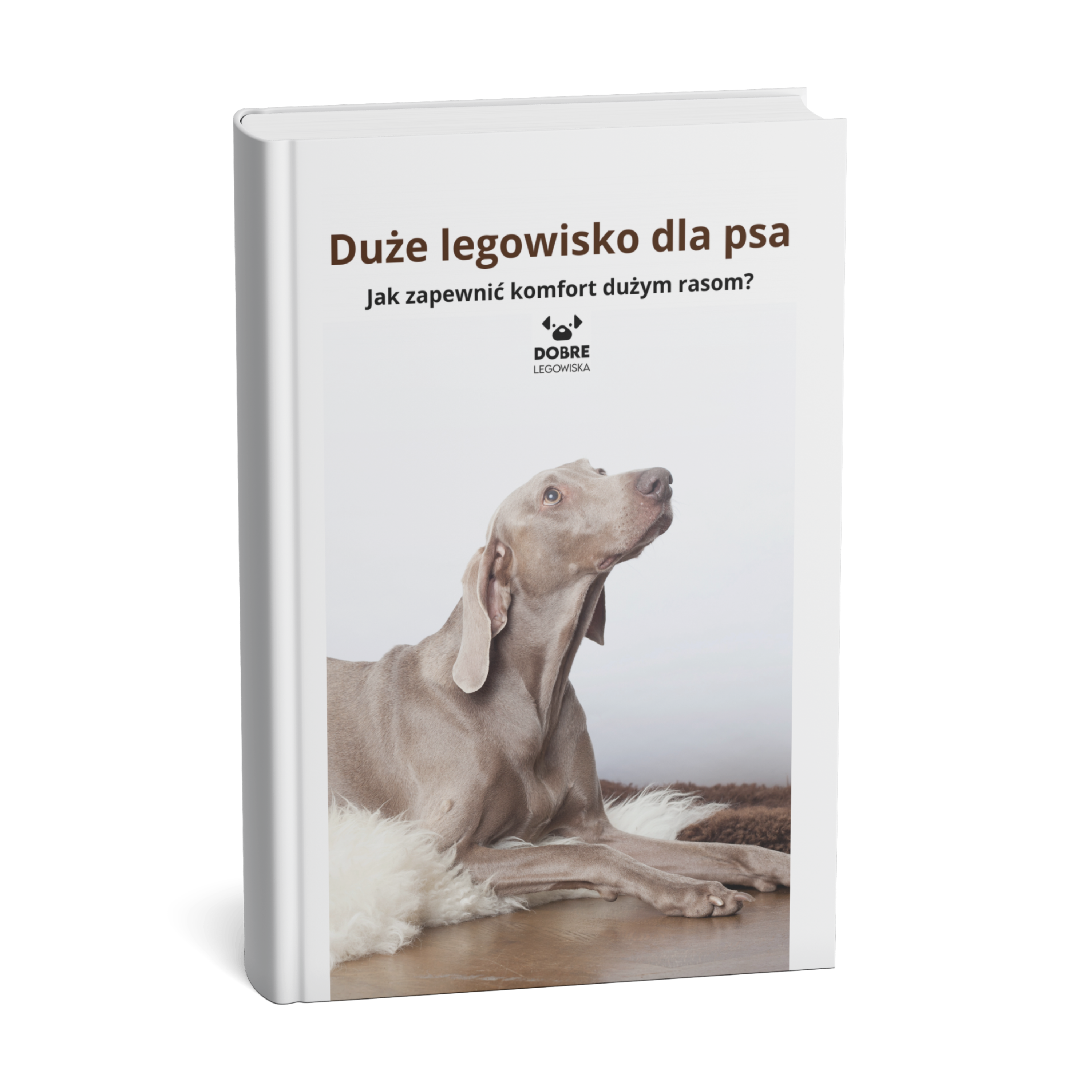 Duże legowisko dla psa – jak zapewnić komfort dużym rasom?