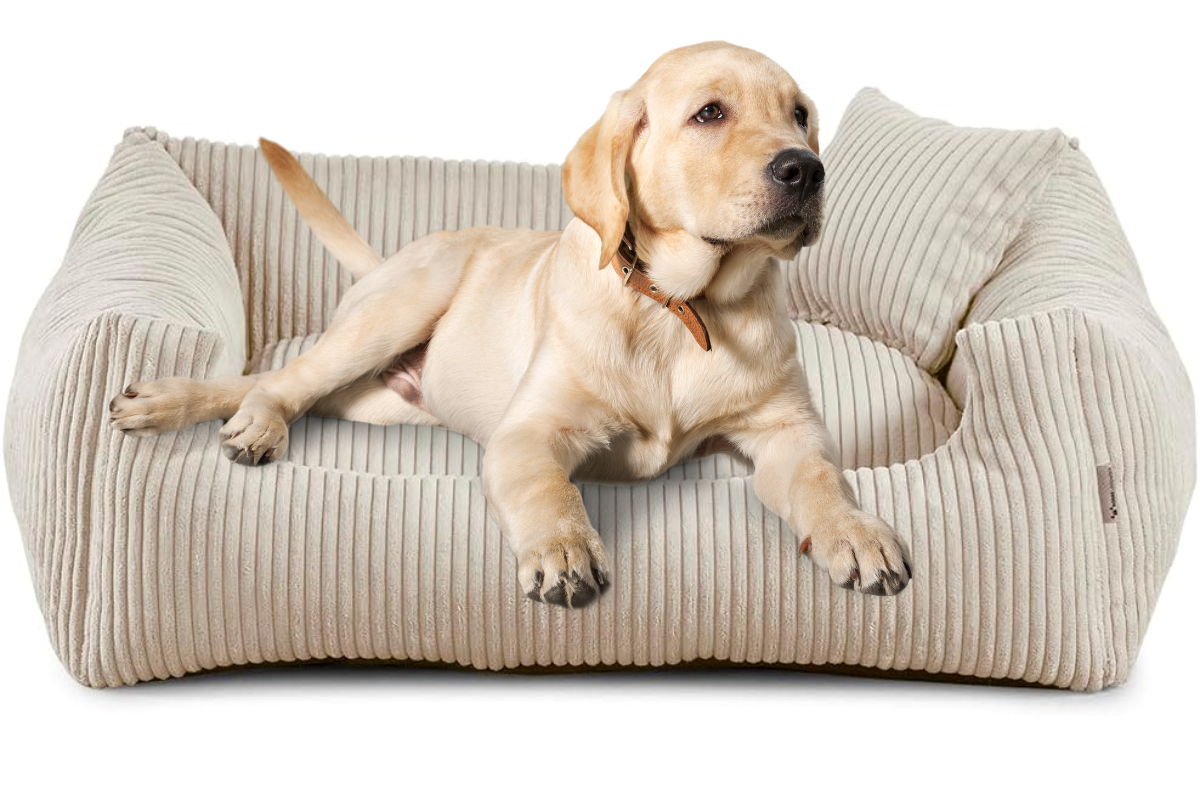 Legowiska dla Labrador Retriever