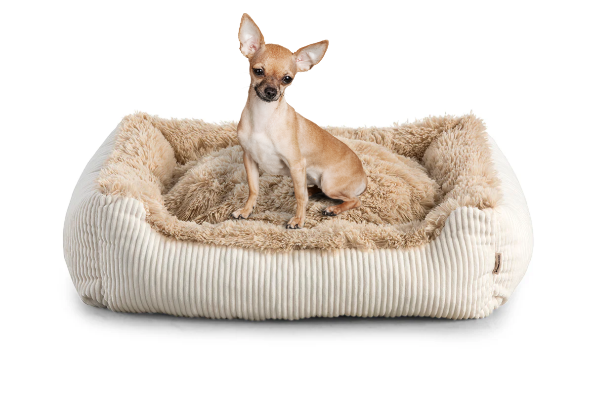 Legowiska dla Chihuahua