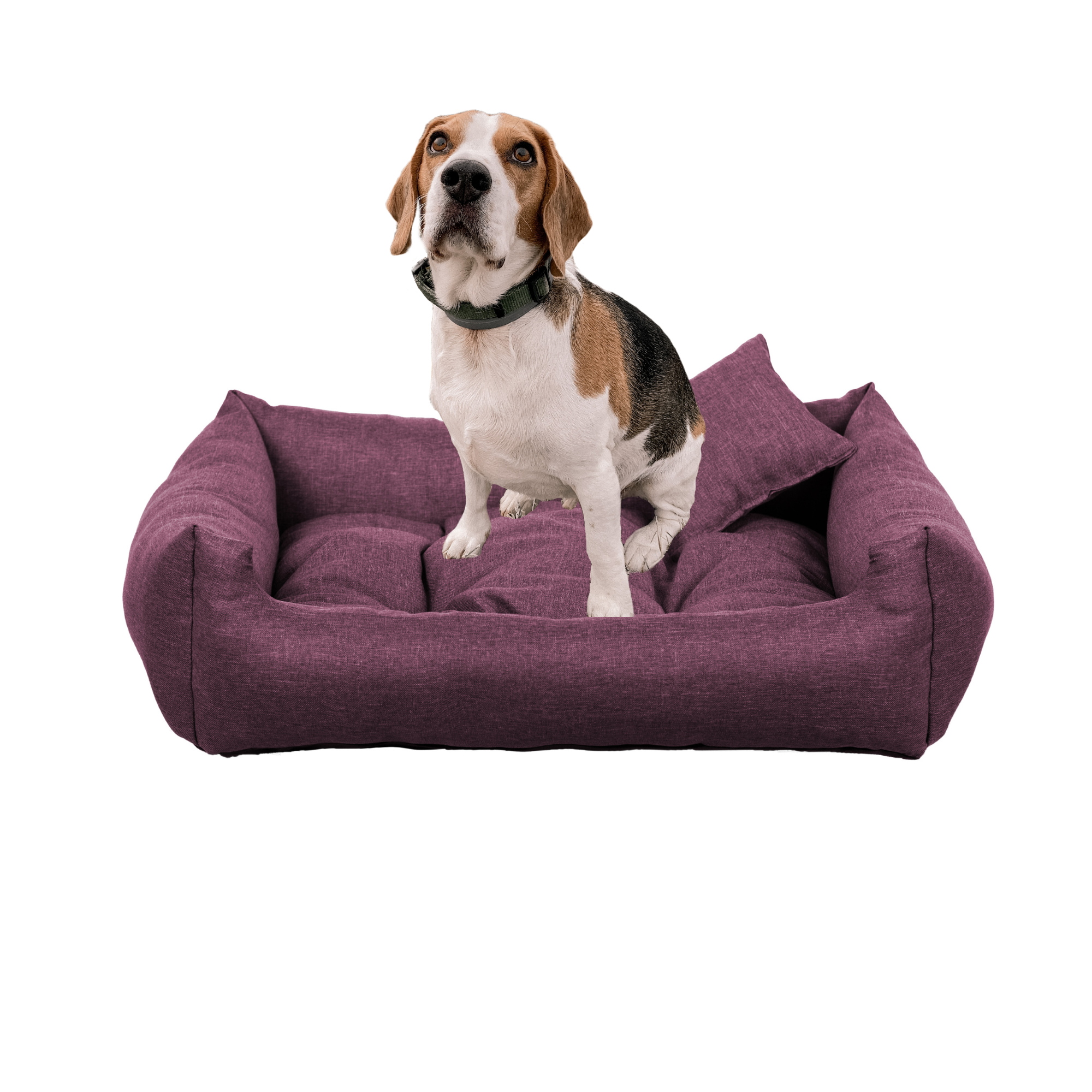 legowisko Happy Sawi nowe 80x65