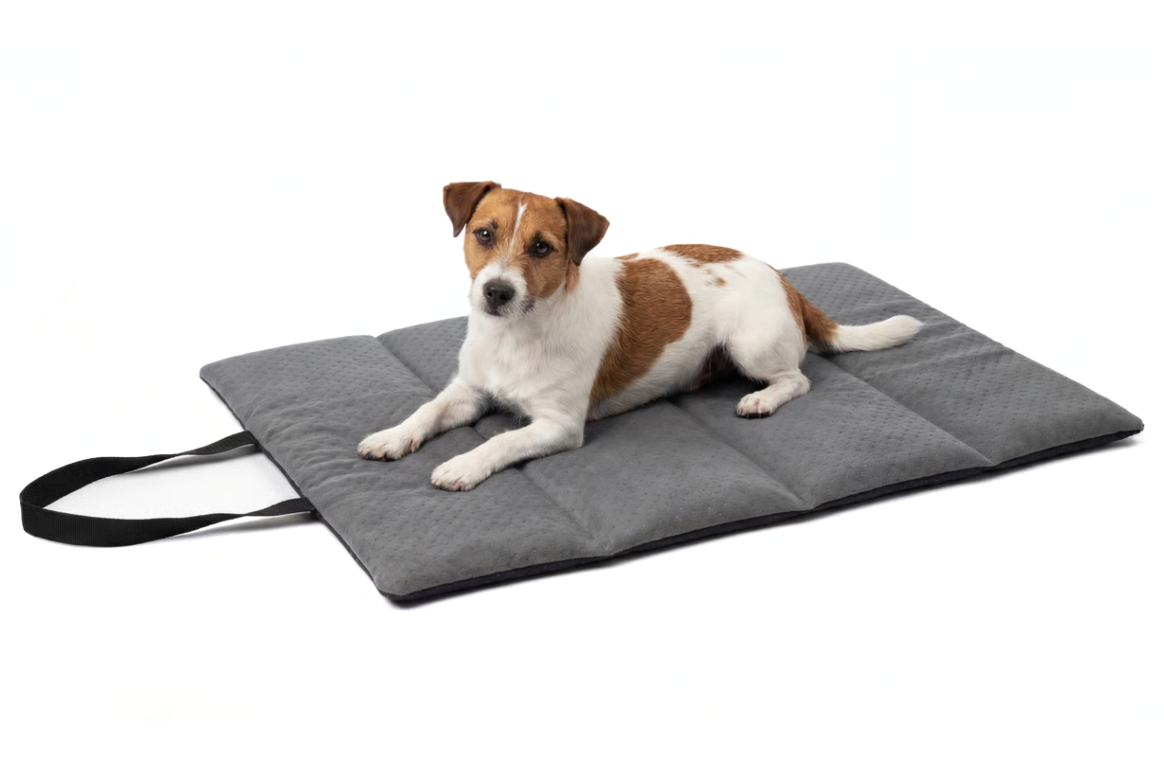 Legowisko Turystyczne dla psa lub kota TravelNest™