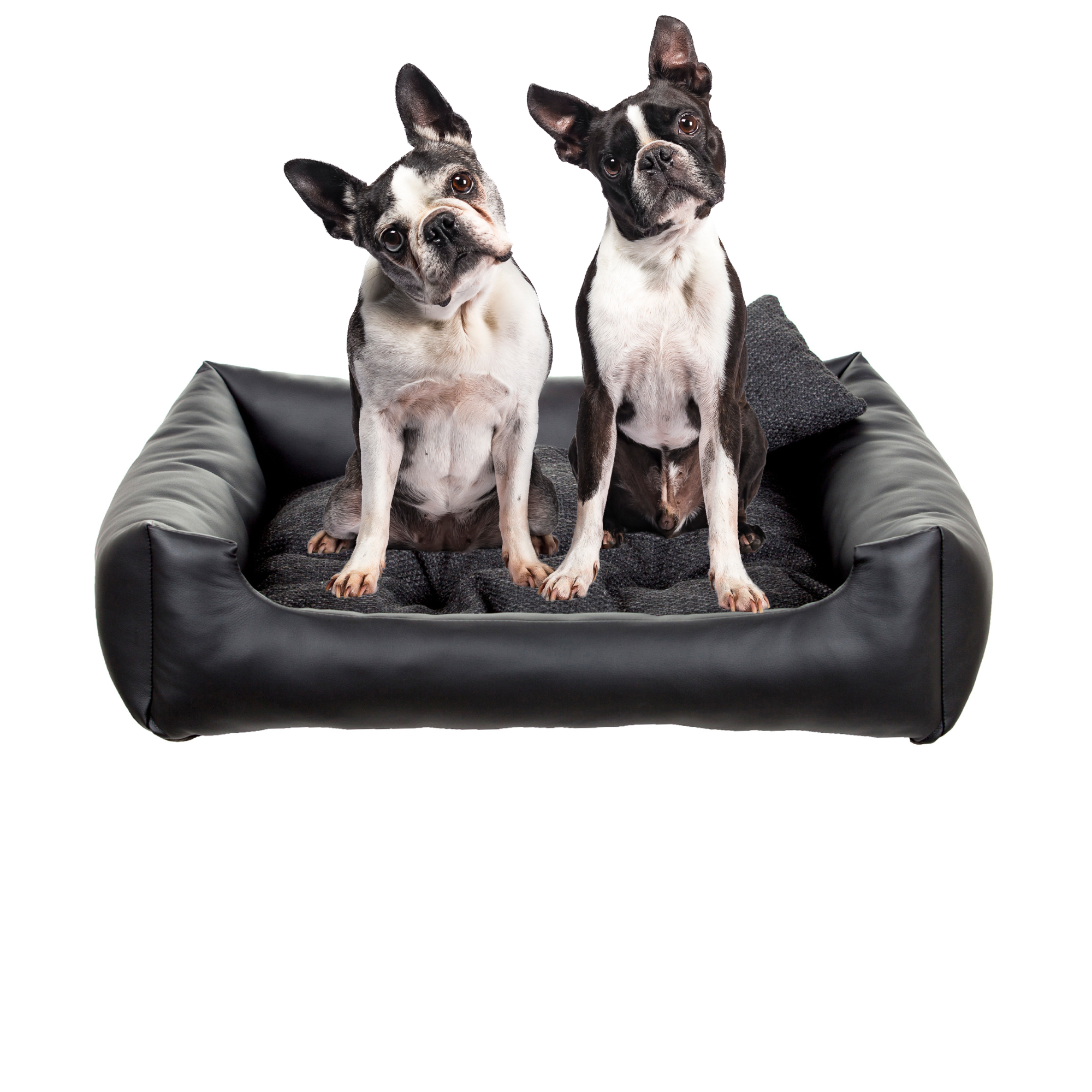 legowisko COOL ELMO  nowe 65x55