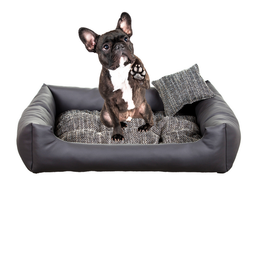 legowisko COOL ELMO nowe 65x55