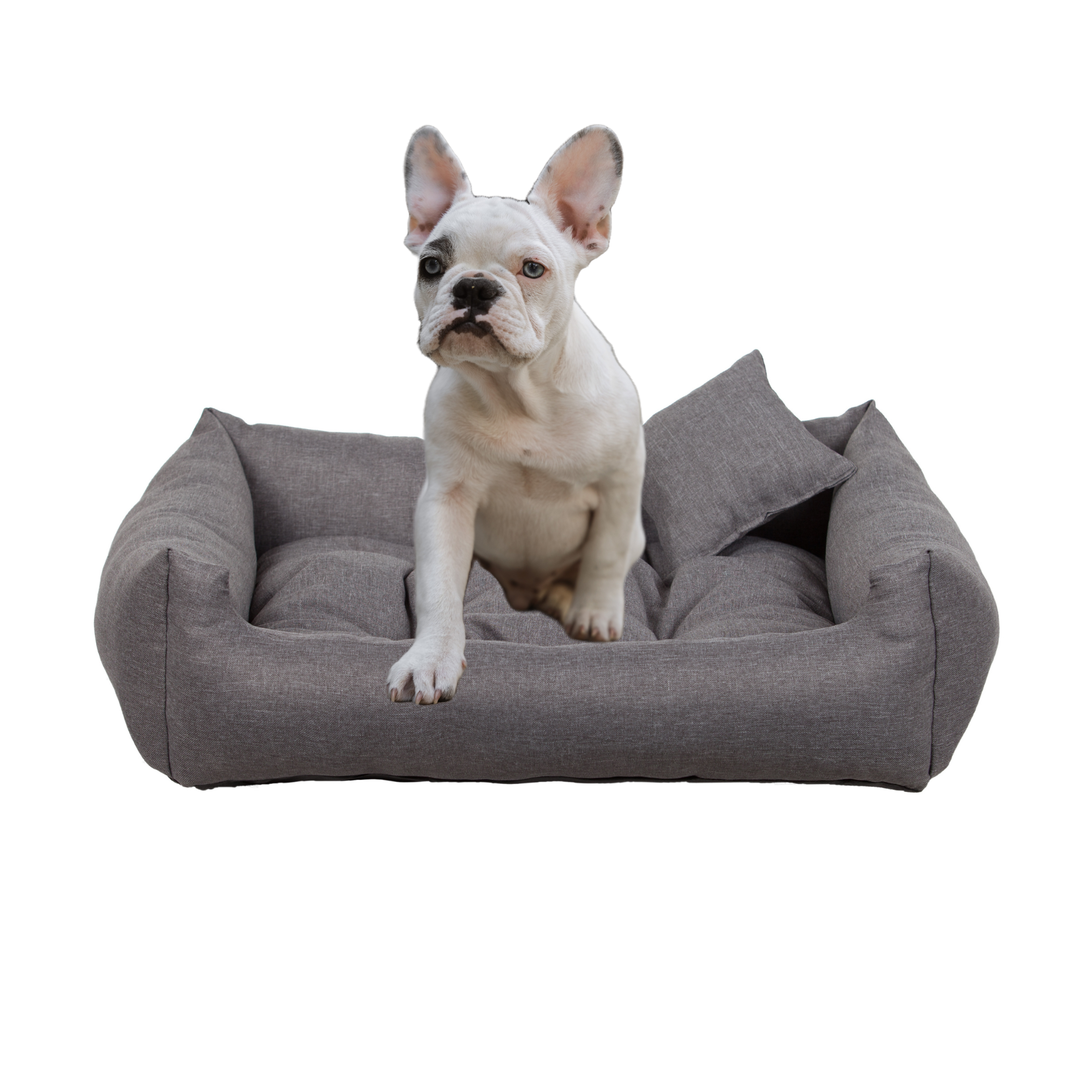 legowisko Happy Sawi nowe 55x45