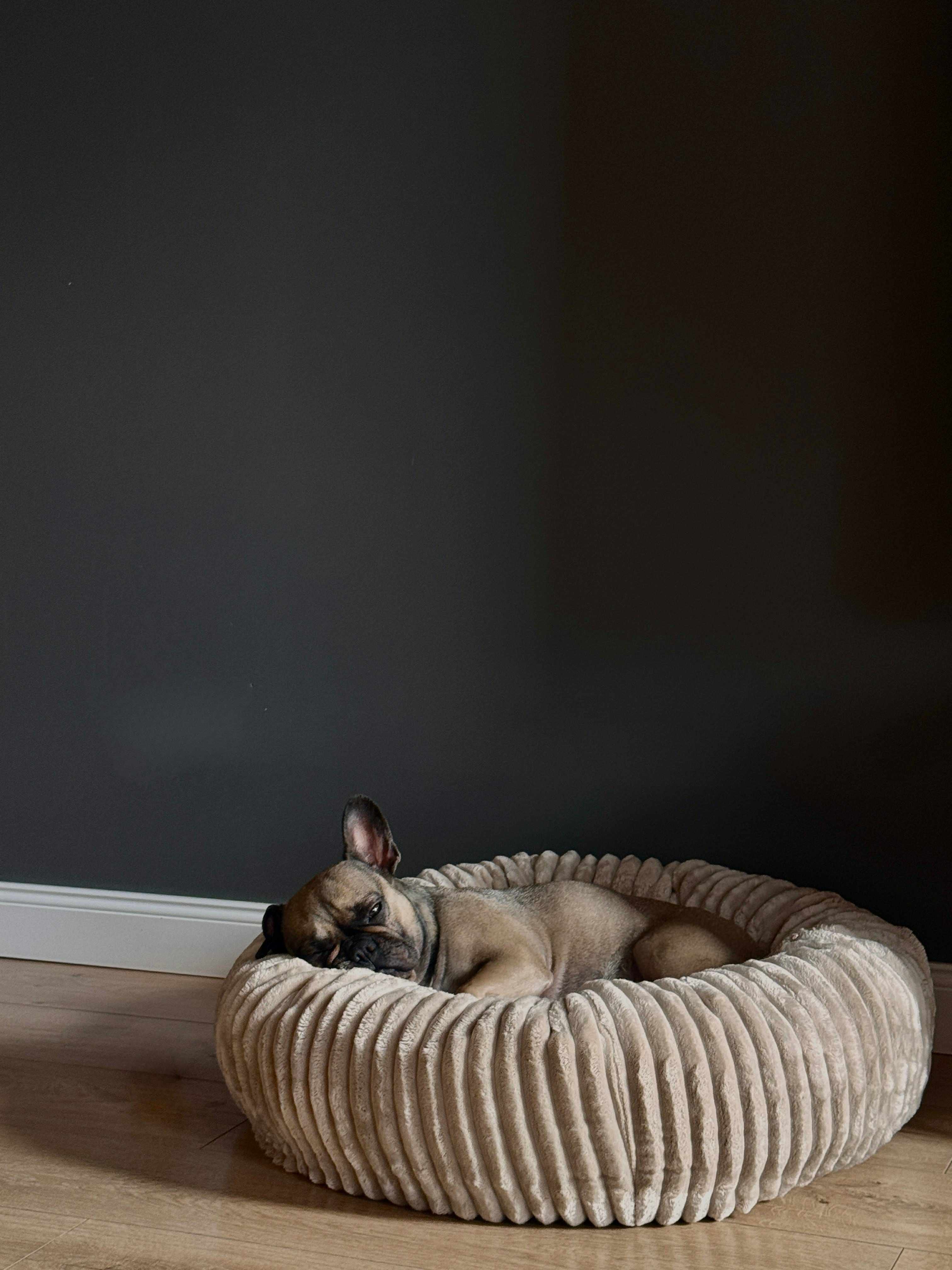 Legowisko dla psa kółko Meallow