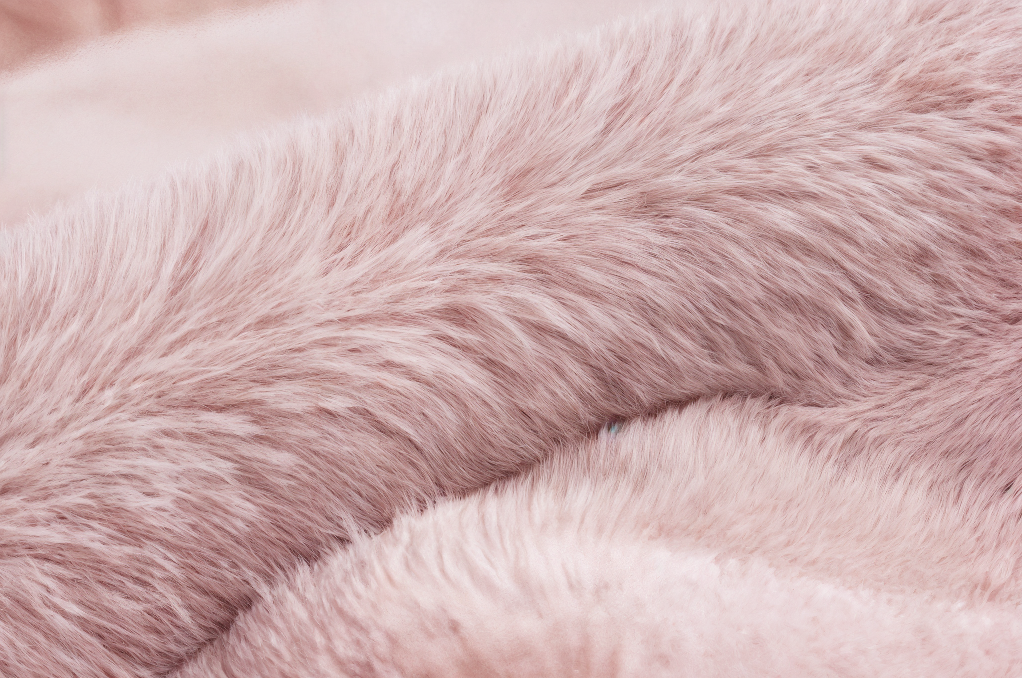 Legowisko dla psa Candy 🍭