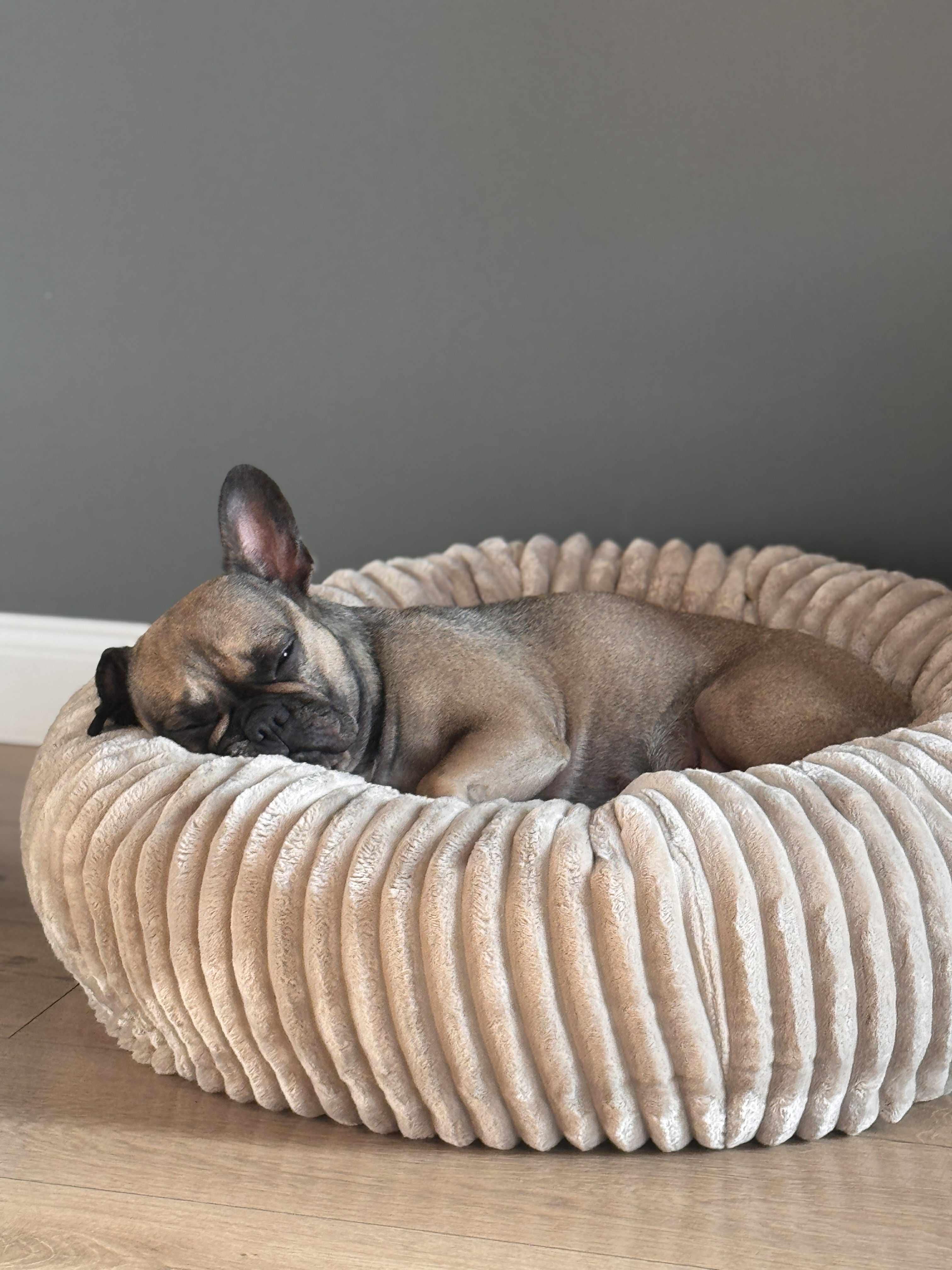 Legowisko dla psa kółko Meallow