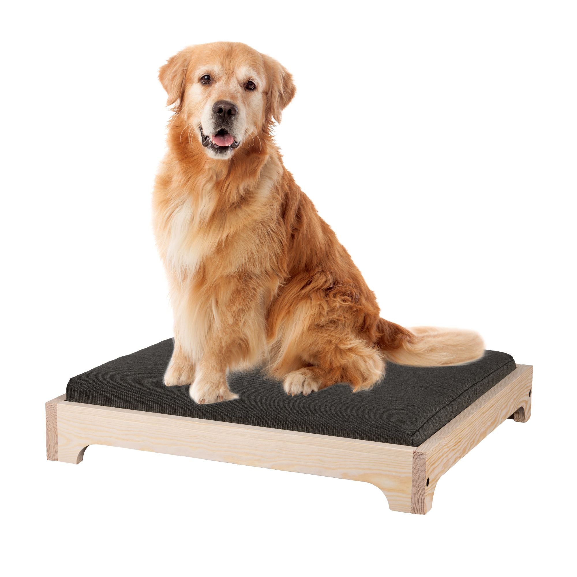 Legowisko dla Psa Woody Comfy